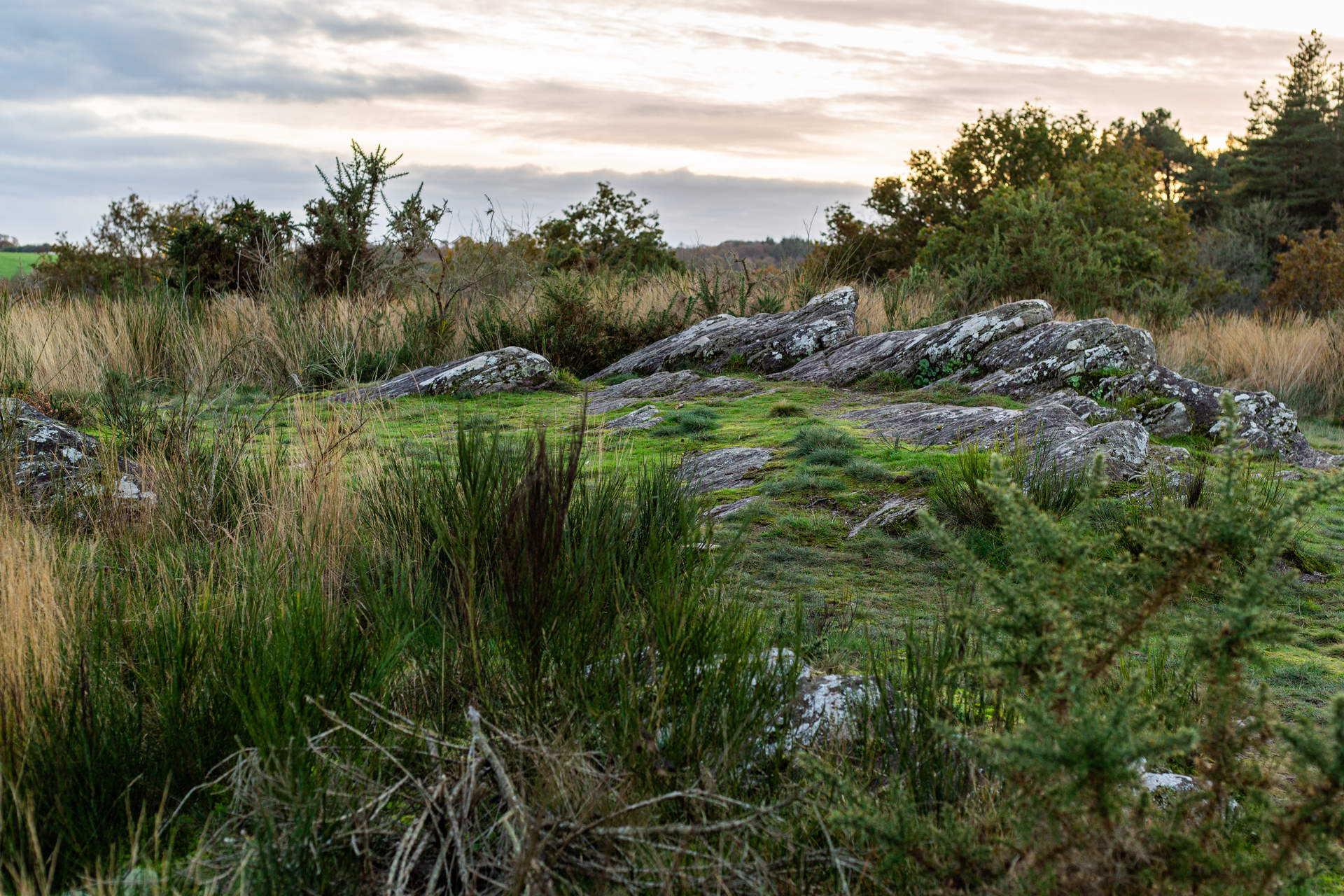 photo by Drumcat Studio